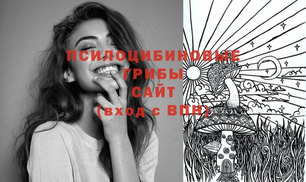 спайс Алексеевка