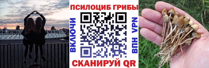Галлюциногенные грибы Magic Shrooms  МЕГА ТОР  Асбест 